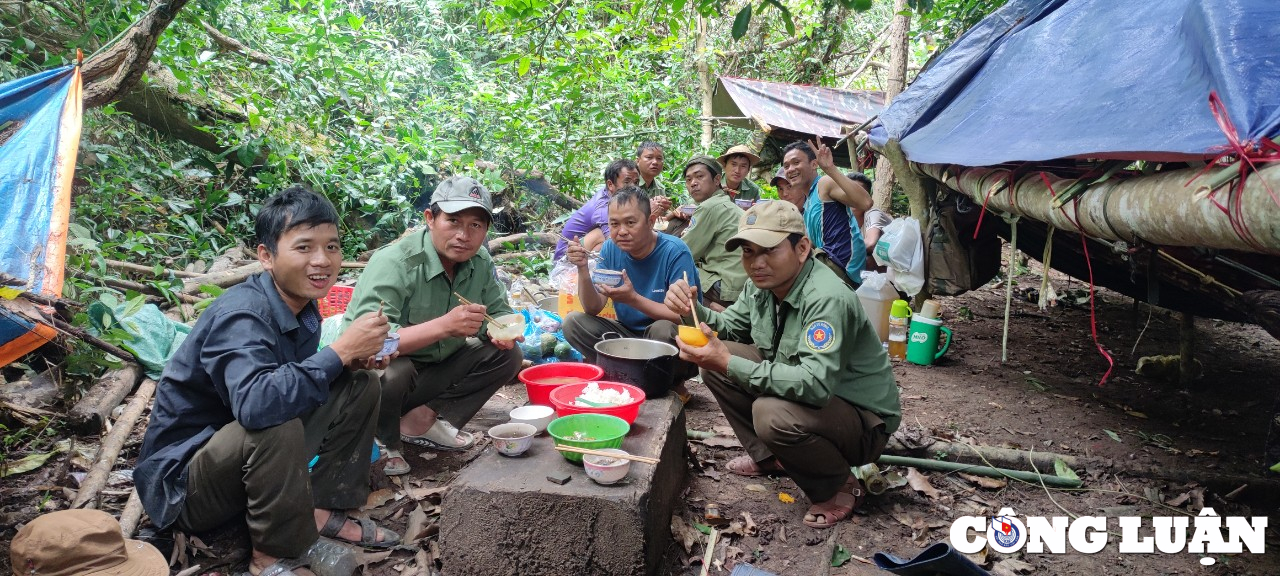 gia lai moi truong lam viec ap luc che do dai ngo chua tuong xung voi luc luong bao ve rung hinh 3