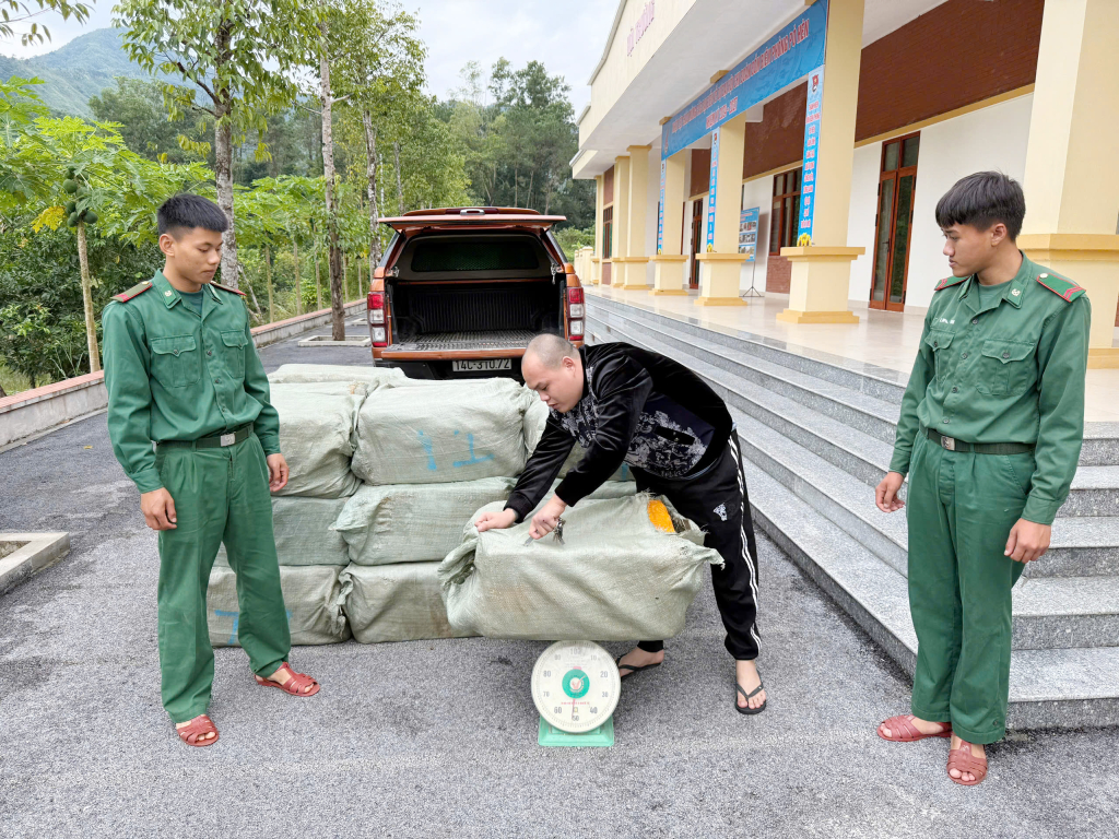 quang ninh bat giu vu van chuyen 900kg nam lon dong lanh khong ro nguon goc hinh 1