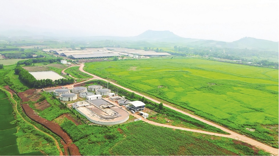 net zero buoc dem cho ky nguyen vuon minh hinh 1