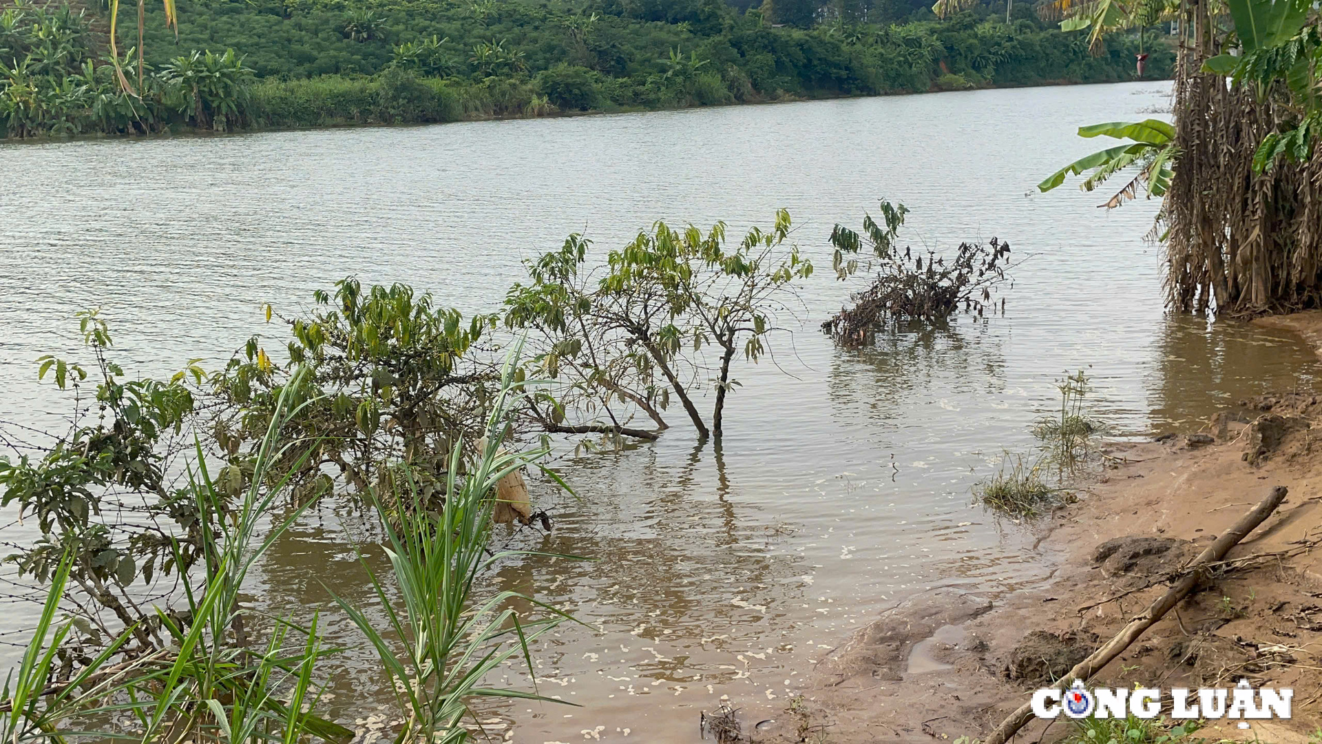 kon tum nguoi dan bat an vi thuy dien tich nuoc gay sat lo ngap ung hoa mau hinh 3