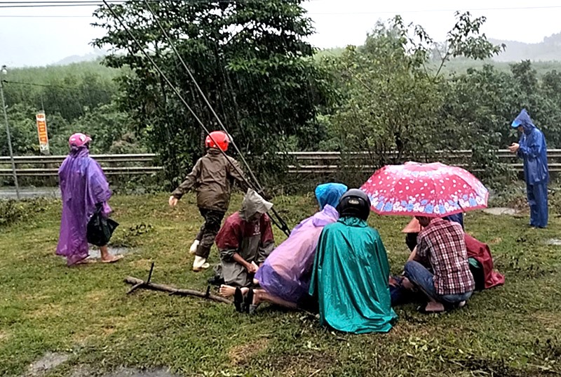 duoi con khi leo tren cot dien gan nha mot nguoi o quang binh bi dien giat tu vong hinh 1