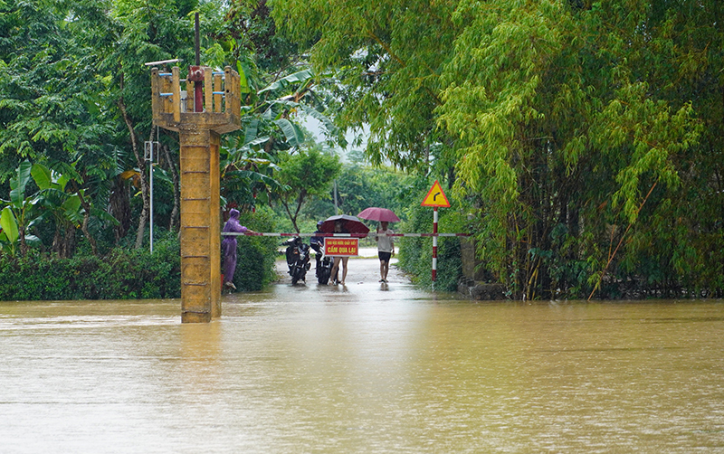 mua lon gay ngap lut chia cat gan 1000 ho dan hang tram nguoi phai so tan o quang binh hinh 2