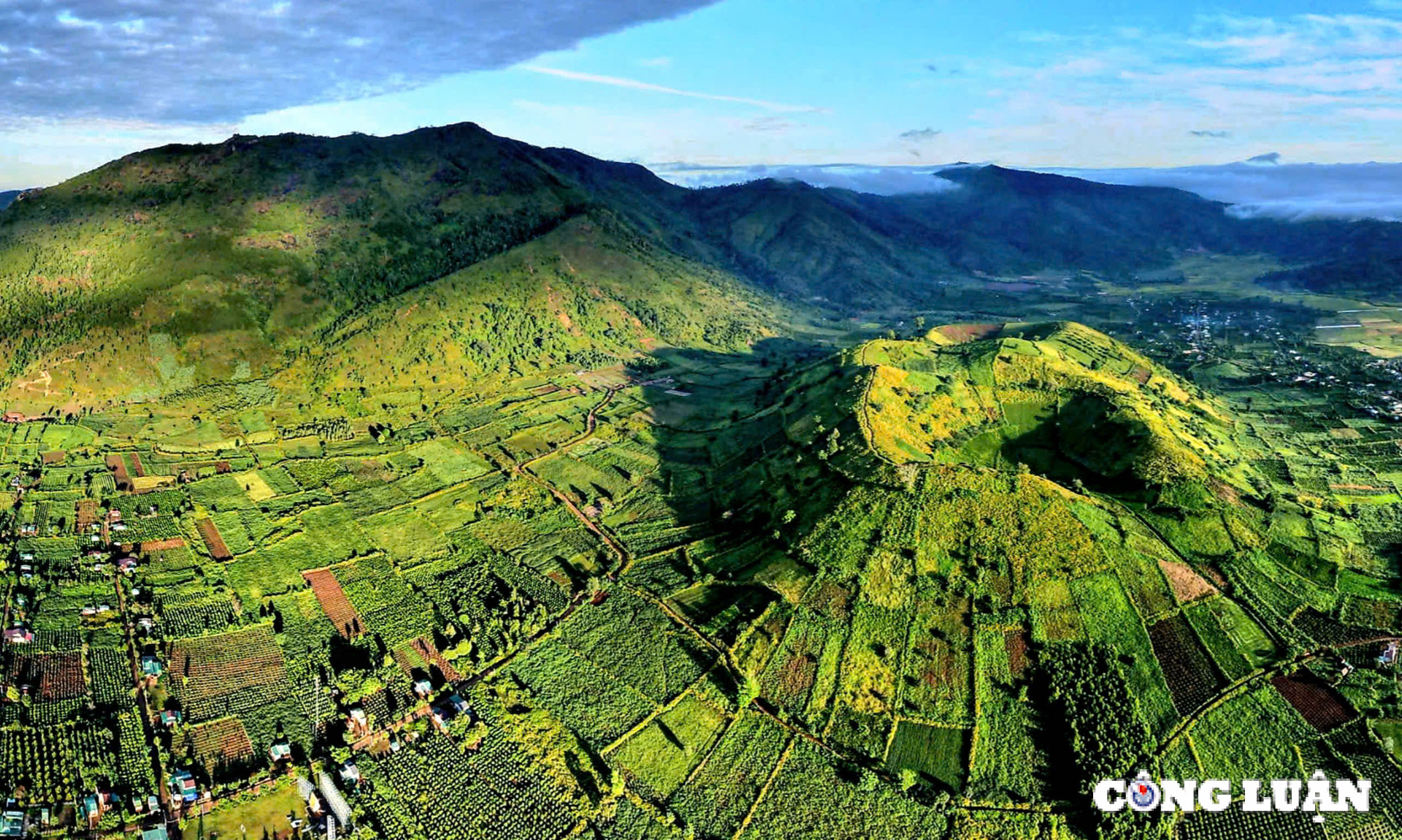 chum anh hoa da quy nhuom vang nui lua chu dang ya gia lai nhung ngay dau dong hinh 1