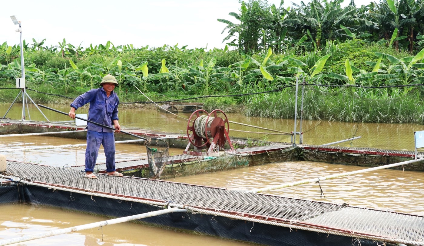 bac ninh khuyen khich phat trien san xuat cac loai thuy san co gia tri kinh te cao hinh 1