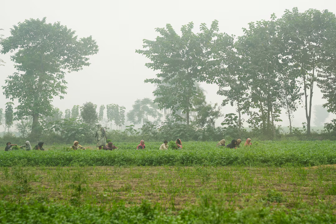 pakistan cam vao cong vien so thu vi o nhiem khong khi ngay cang nang hinh 1