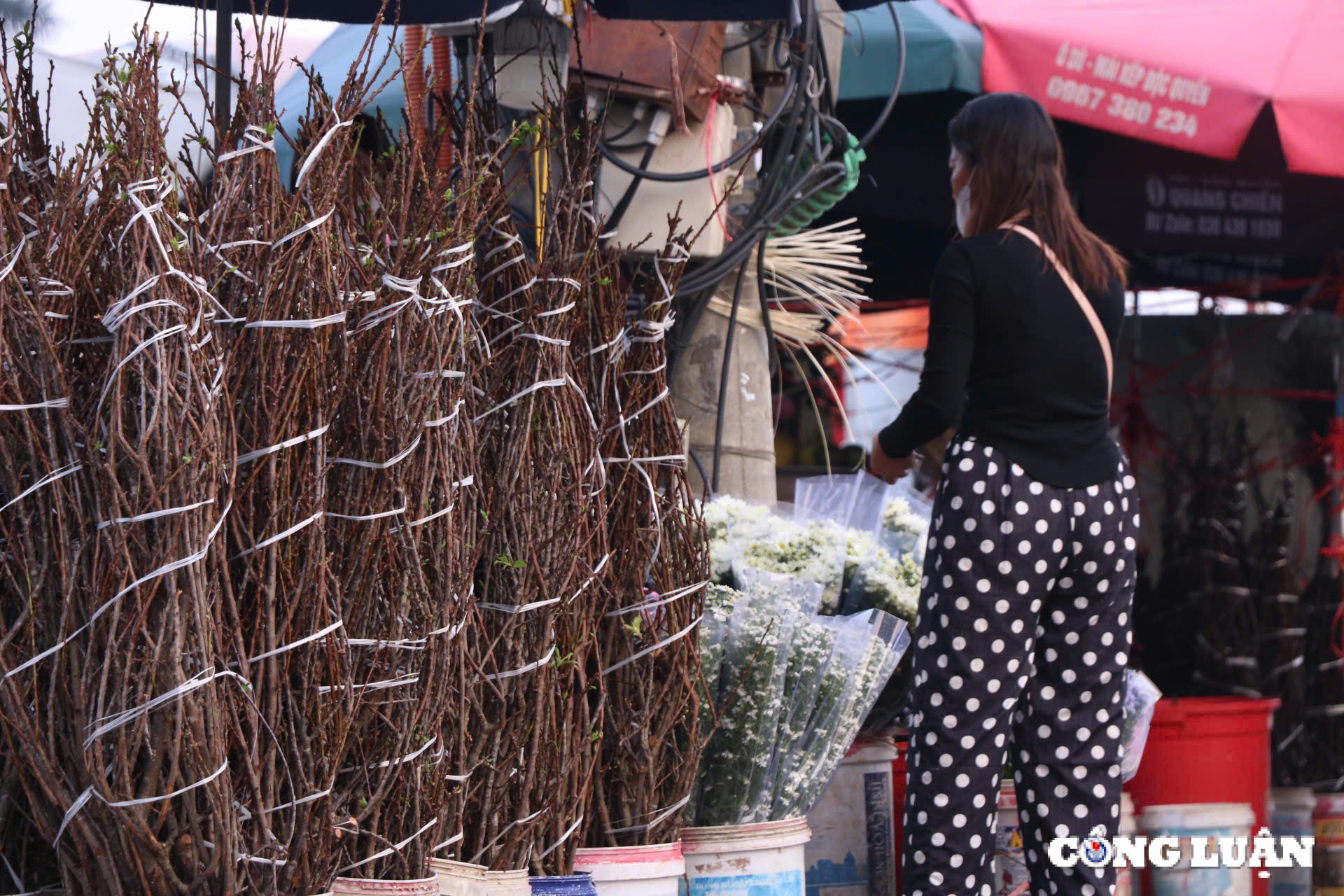 hoa man hoa le xuong duong pho ha noi hinh 6