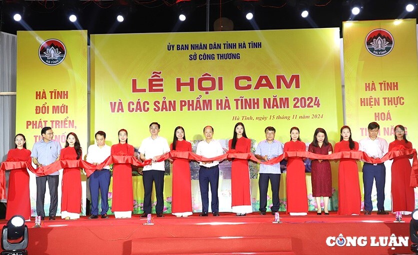 khai mac le hoi cam va cac san pham ha tinh nam 2024 hinh 1