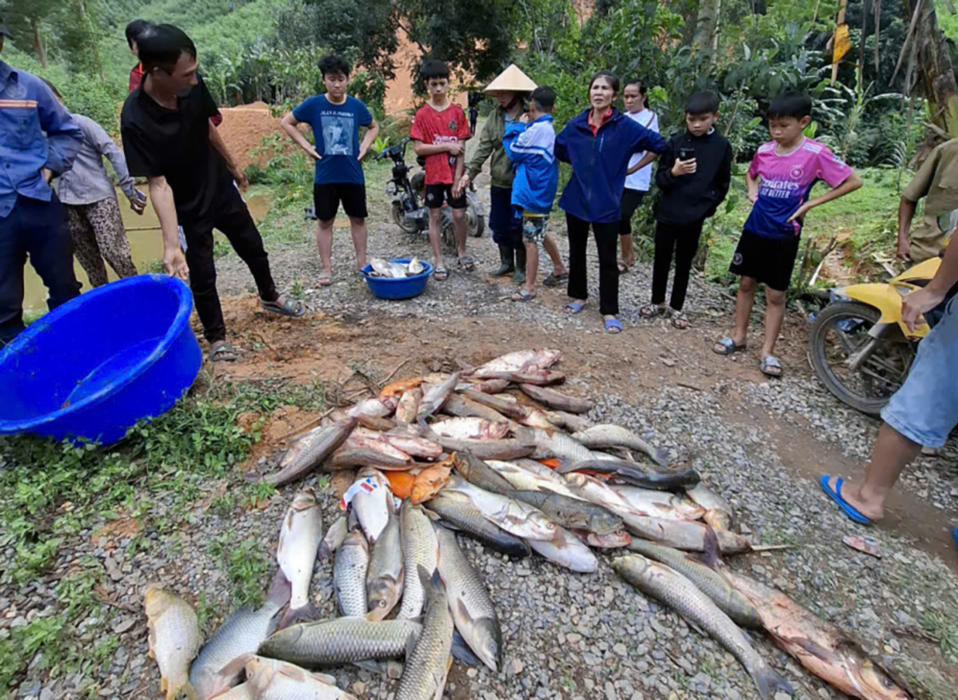 thu han ca nhan len mang tim mua thuoc diet ca trong ao nha hang xom o nghe an hinh 1