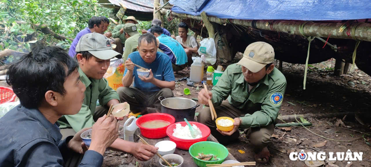 thuong truc hdnd tinh gia lai de nghi go kho cho luc luong bao ve rung hinh 4