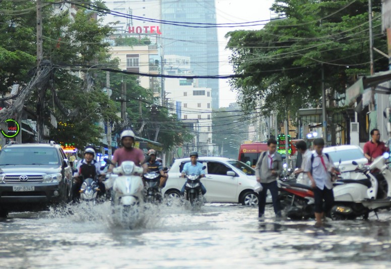 tp hcm so xay dung duoc quyet dinh dau tu sua chua cong trinh thoat nuoc chieu sang do thi tu 500 trieu den 15 ty dong hinh 1