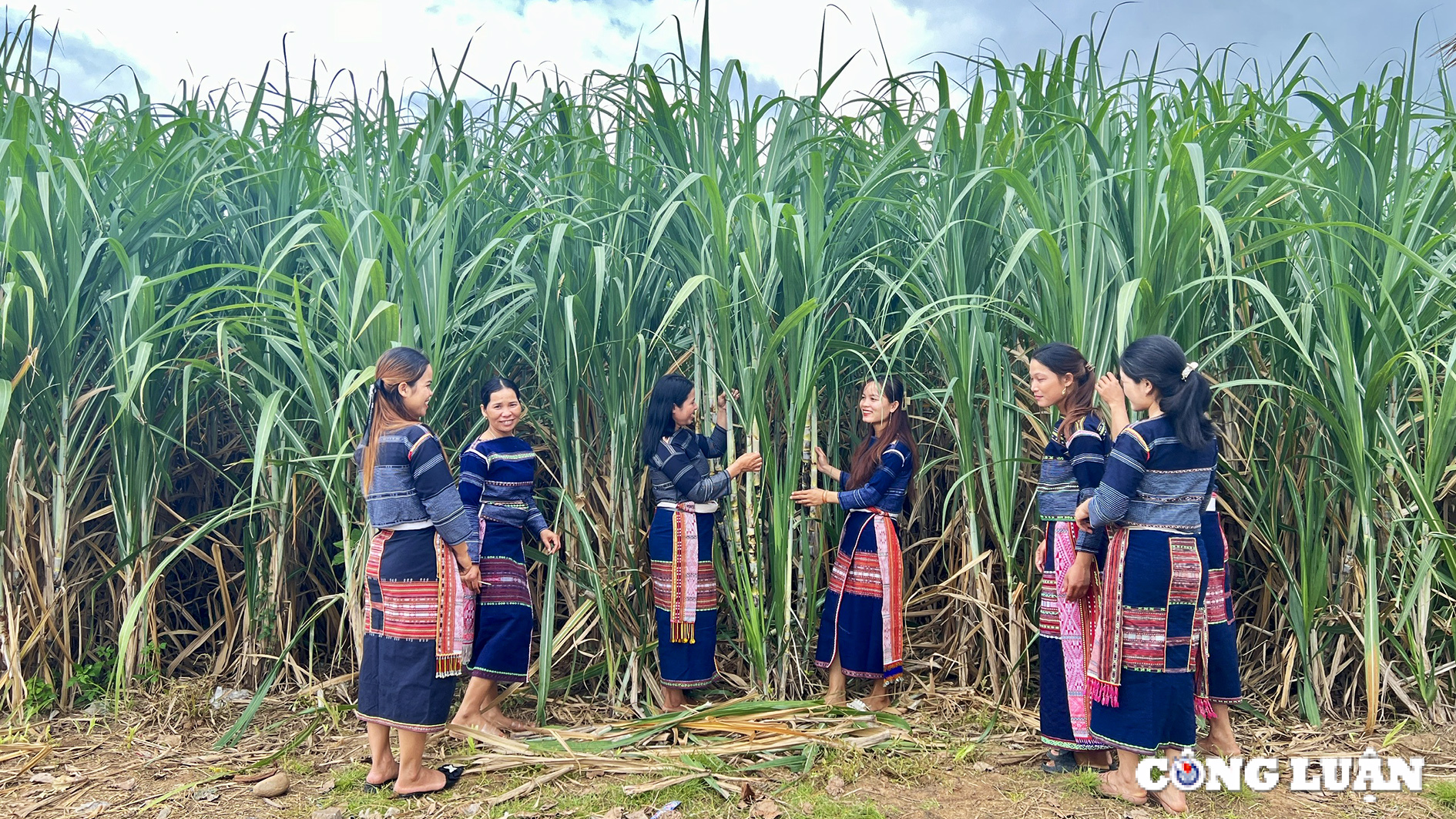 kbang gia lai no luc thuc day binh dang gioi vung dong bao dan toc thieu so hinh 7