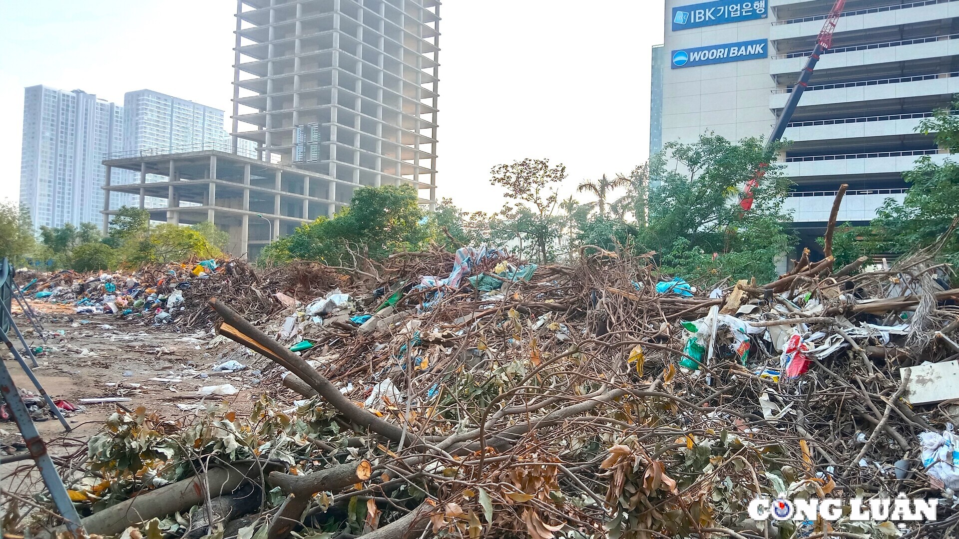 ha noi bai rac tu phat khong lo gay mat ve sinh gan truong hoc khu dan cu dong duc hinh 3