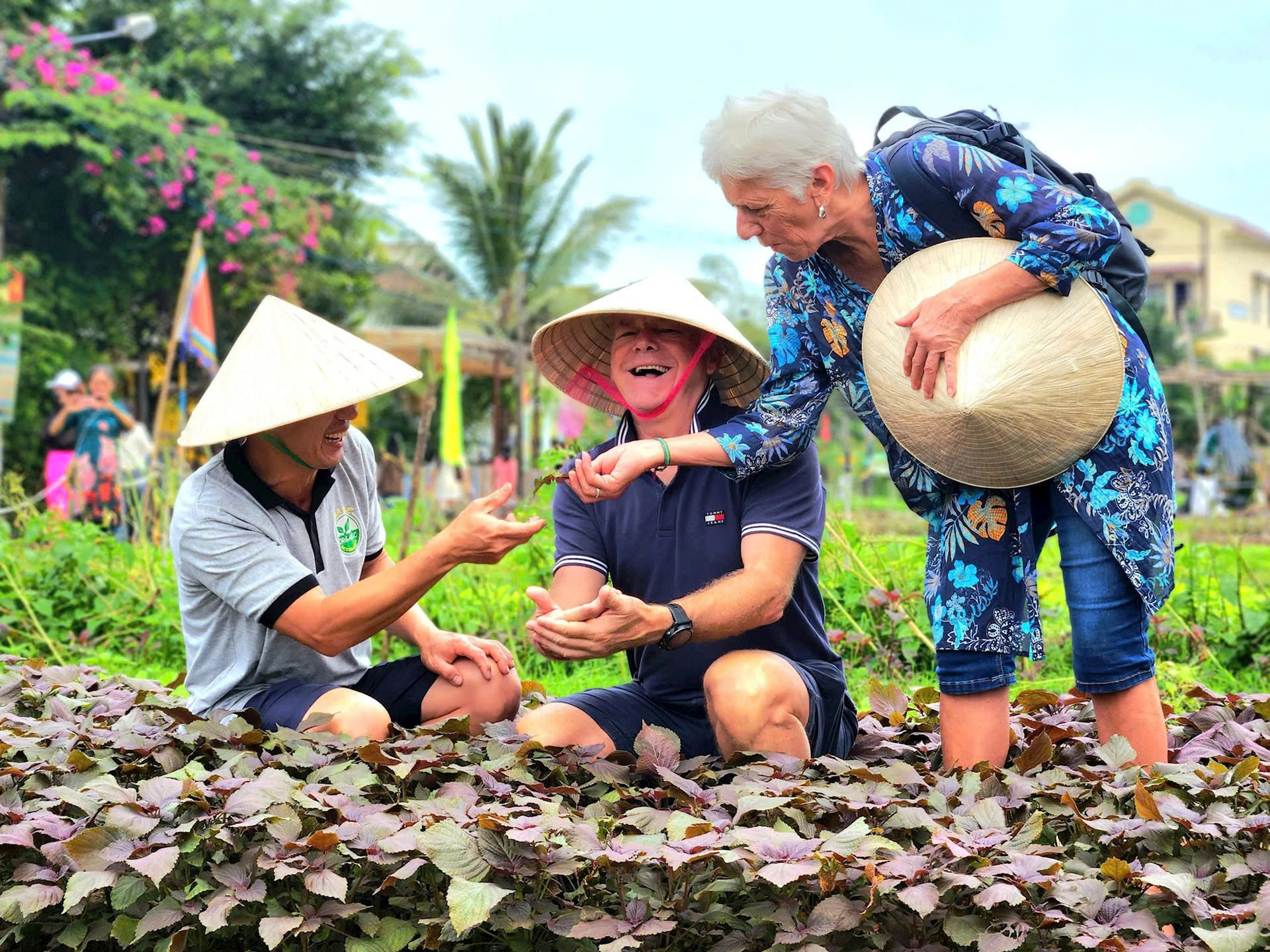 viet nam lan dau tien dang cai to chuc hoi nghi quoc te toan cau ve du lich nong thon hinh 3