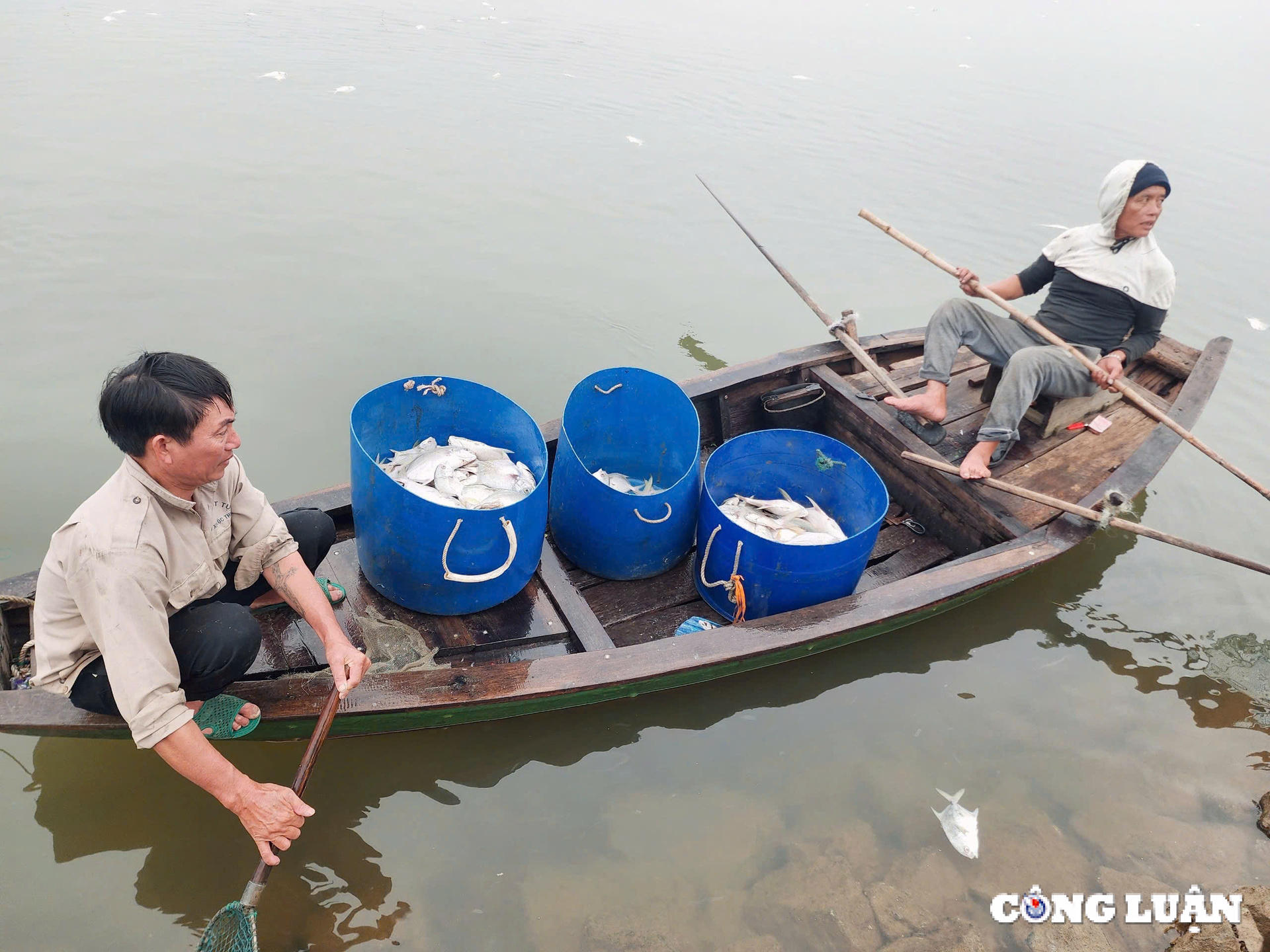 hang tan ca chim chet noi trang ho o ha tinh hinh 7