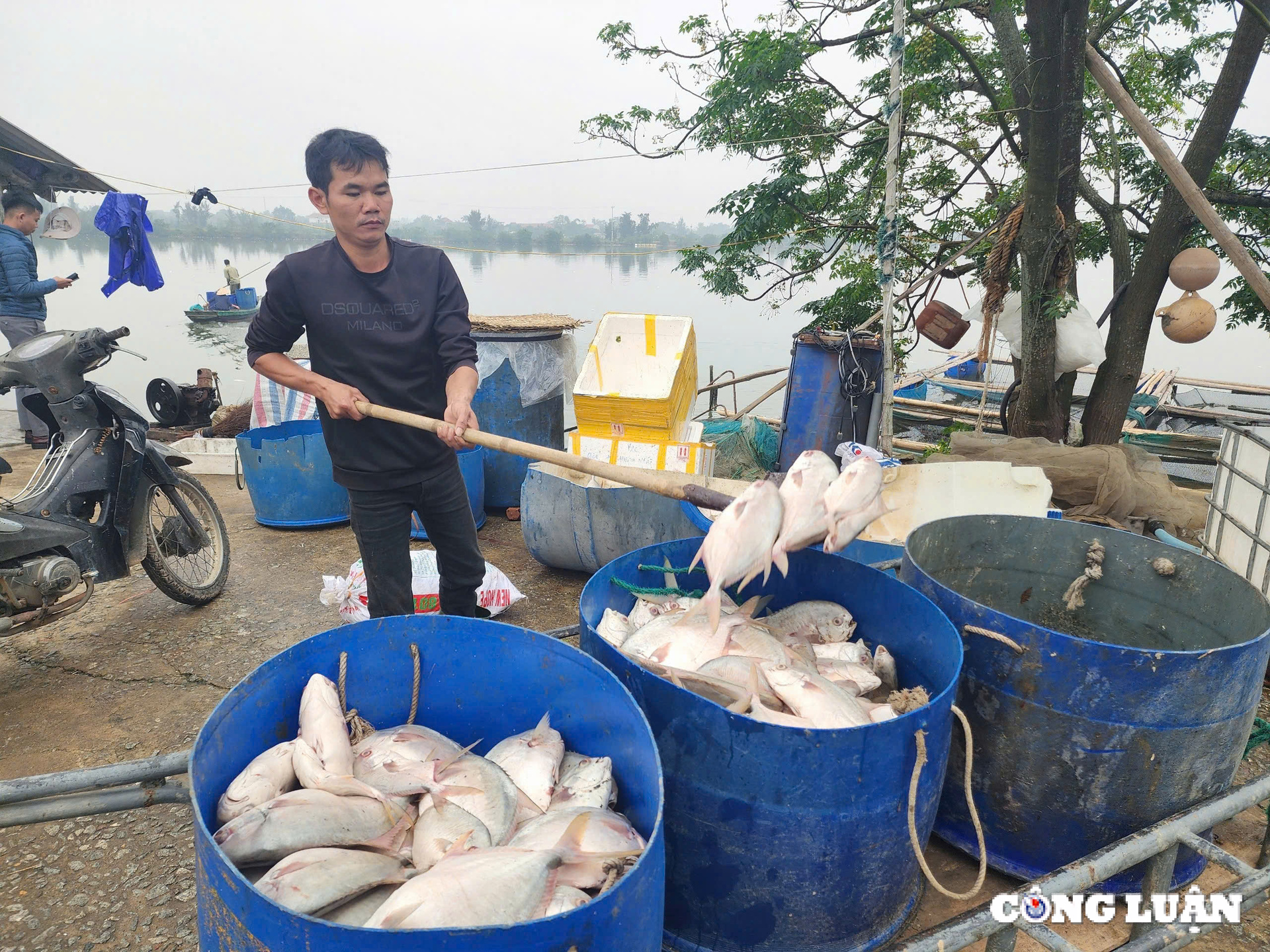 hang tan ca chim chet noi trang ho o ha tinh hinh 10