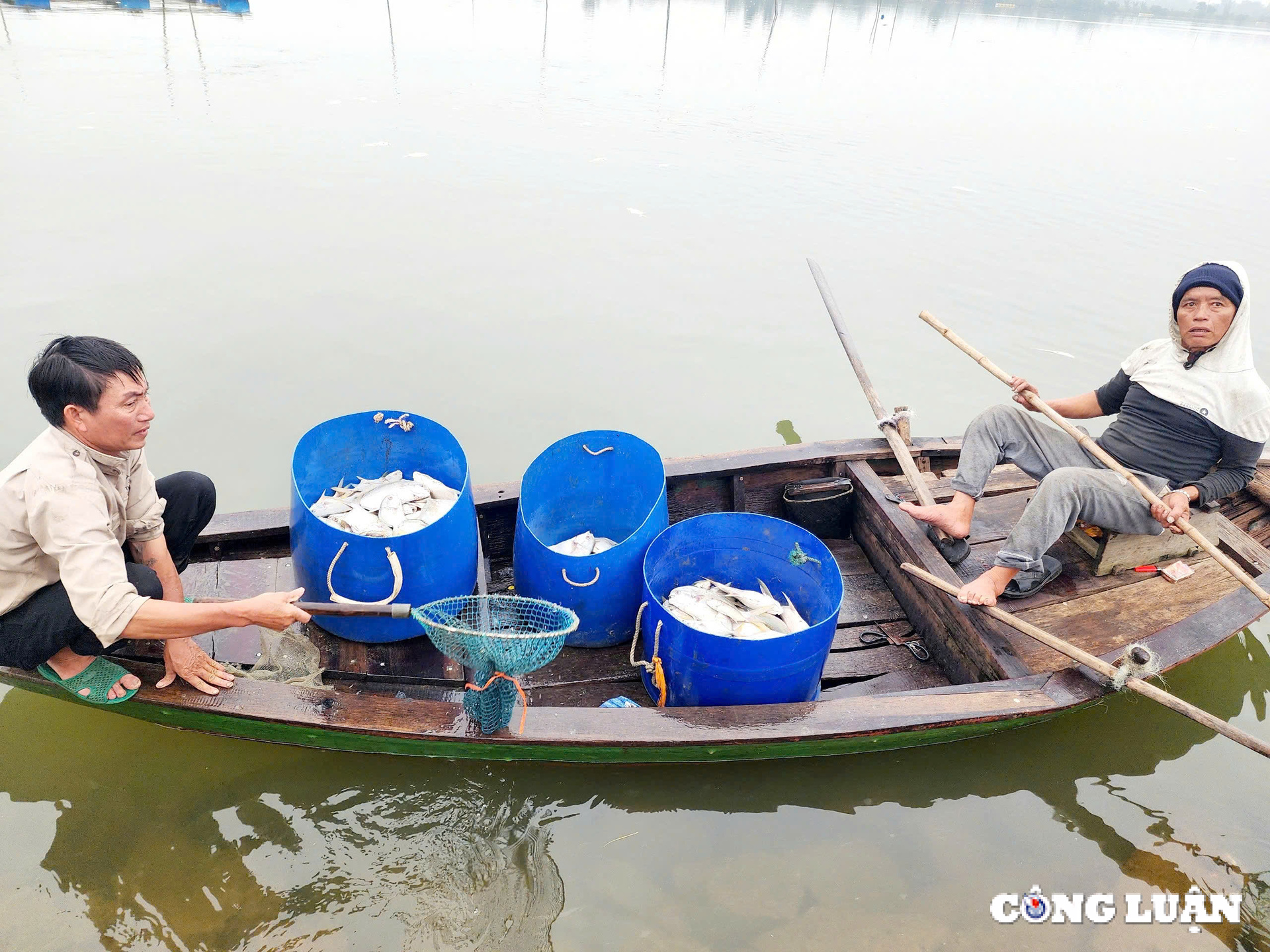 ha tinh da xac dinh nguyen nhan hang tan ca chim chet noi trang ho hinh 1