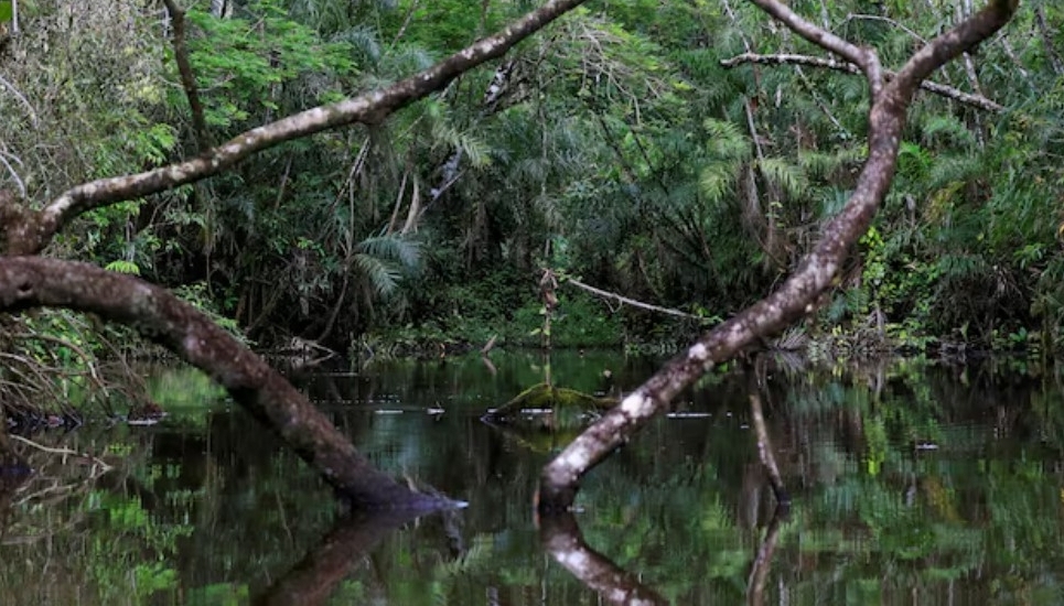 ecuador hoan doi no de bao ve rung amazon hinh 1