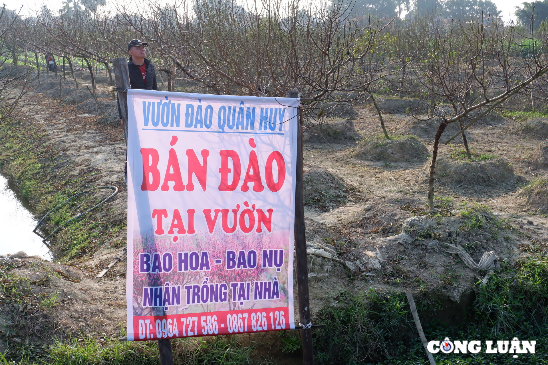 lang dao quang chinh tat bat xuong la dao chuan bi tet hinh 9