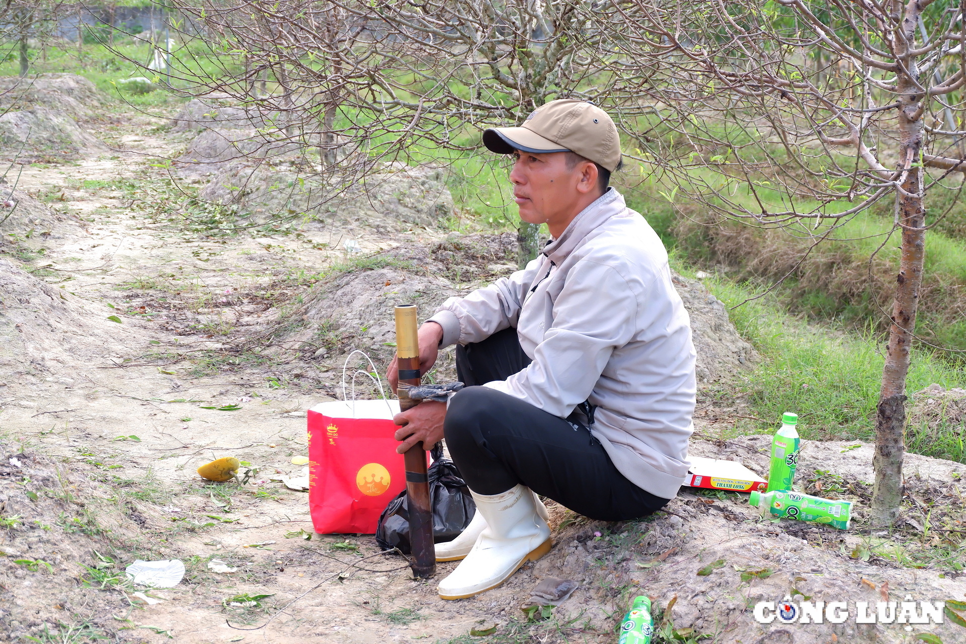 lang dao quang chinh tat bat xuong la dao chuan bi tet hinh 7