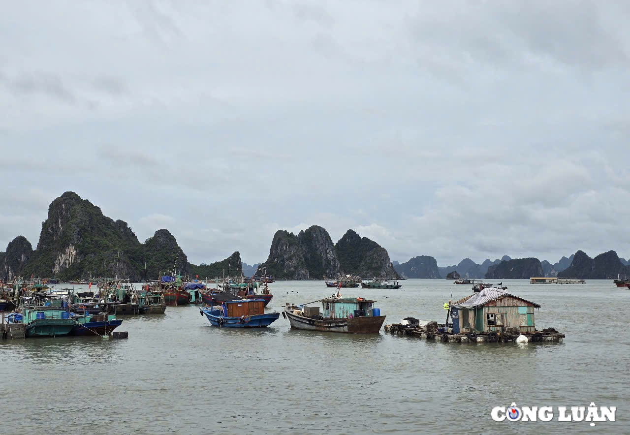 quang ninh tao tien de vung chac cung ca nuoc buoc vao ky nguyen vuon minh cua dan toc hinh 2