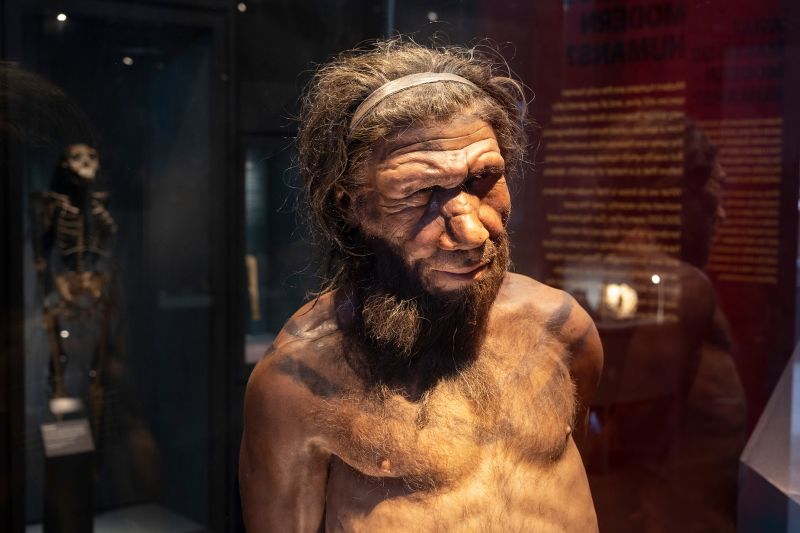 chong khang khang sinh y tuong tu ai va nguoi neanderthal da tuyet chung hinh 1