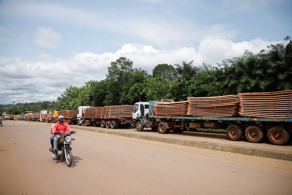 phe dao chinh gabon noi chua voi bau cu de tranh lap lai nhung sai lam trong qua khu hinh 1