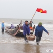 Thanh Hóa: Ngư dân phấn khởi khi sứa biển vào mùa, được giá