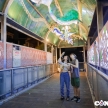 Ngỡ ngàng với không gian nghệ thuật đặc sắc trên cầu đi bộ ở Hà Nội
