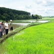 Nam Định: Tăng cường các biện pháp phòng, chống nắng nóng, hạn hán, thiếu nước, xâm nhập mặn