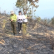 Kon Tum: Gần 9ha rừng thông bị ngọn lửa thiêu rụi