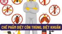 Bộ Y tế yêu cầu kiểm tra sản xuất kinh doanh chế phẩm diệt côn trùng