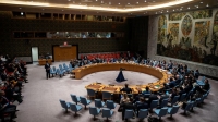 Ủy ban Hội đồng Bảo an không nhất trí về tư cách thành viên chính thức cho Palestine