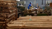 Thanh Hoá sắp có nhà máy sản xuất ván tre hơn 3 nghìn tỷ đồng