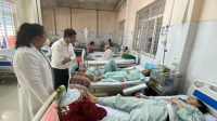 Tập trung cứu chữa gần 500 bệnh nhân bị ngộ độc thực phẩm tại thành phố Long Khánh, tỉnh Đồng Nai