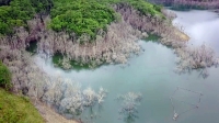 Kon Tum: Đề xuất xử lý hàng loạt cán bộ liên quan vụ hơn 25 ha rừng bị chết