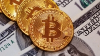 Bitcoin sẽ chạm mức mức 1.500 USD hay 6.500 USD?