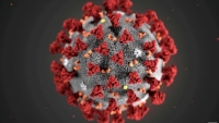 WHO và tình báo Mỹ có chung quan điểm về nguồn gốc virus SARS-CoV-2