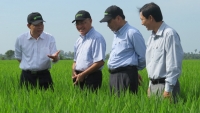 Thay đổi tư duy làm kinh tế nông nghiệp cho nông dân Đồng Tháp