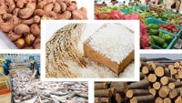 Nông sản Việt cần xử lý nhiều vấn đề kiểm soát chất lượng hàng hóa