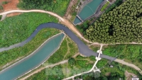 “Lật tẩy” vụ đổ trộm dầu thải gây ô nhiễm nguồn nước Sông Đà