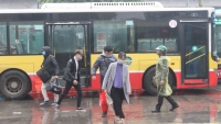 Hà Nội: Mỗi xe buýt sẽ không chở quá 20 hành khách