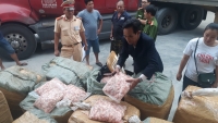 Thừa Thiên – Huế: Phát hiện, bắt giữ xe tải chở hơn 1,5 tấn sụn gà “bẩn”