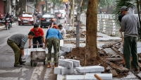 Hà Nội: Chuẩn bị lát đá vỉa hè mới cho gần 300 tuyến phố