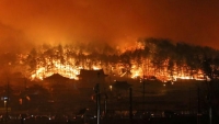 Hơn 4.000 người phải sơ tán vì cháy rừng tại Hàn Quốc