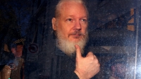 Lập trình viên liên quan tới nhà sáng lập WikiLeaks bị bắt