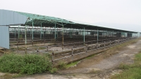 “Đại” dự án chăn nuôi bò thịt tại Hà Tĩnh: Bộ Công an yêu cầu định giá tài sản cố định hiện hữu