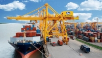 Hàng loạt các hãng tàu lớn liên tiếp mở tuyến dịch vụ cảng biển