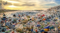 Rác thải nhựa đang hủy hoại tự nhiên như thế nào?