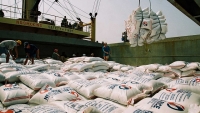 Gạo Việt Nam “rộng cửa” vào thị trường Philippines