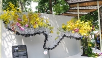 Rực rỡ “Sắc màu nhiệt đới” tại Festival hoa lan TP. Hồ Chí Minh